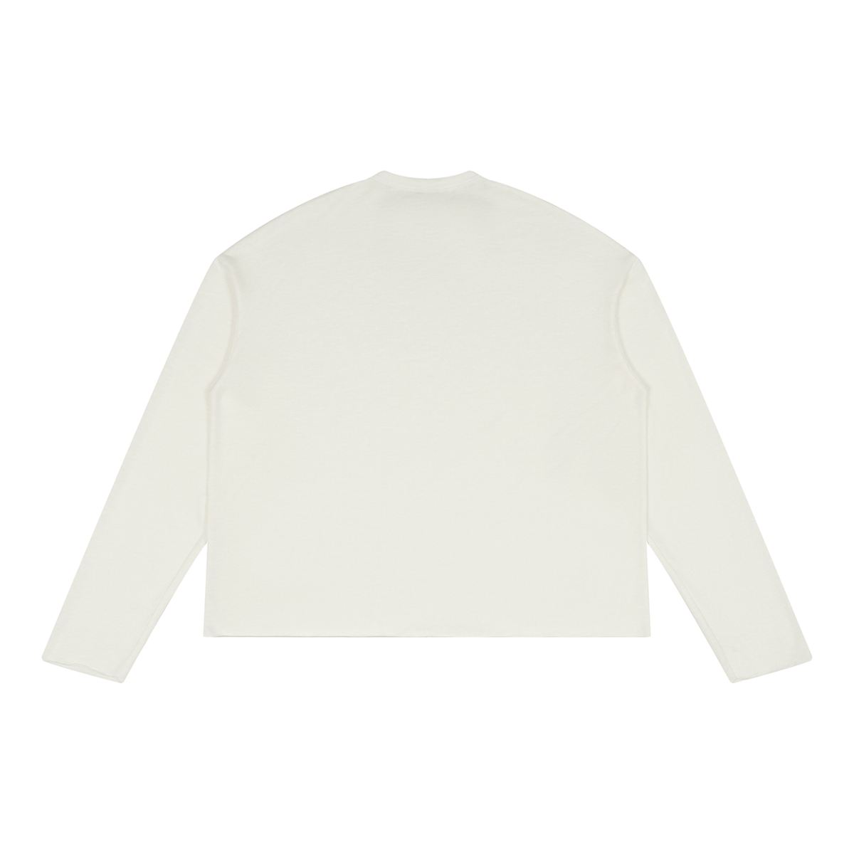 ROCKSTAR SEE THROUGH LONGSLEEVES